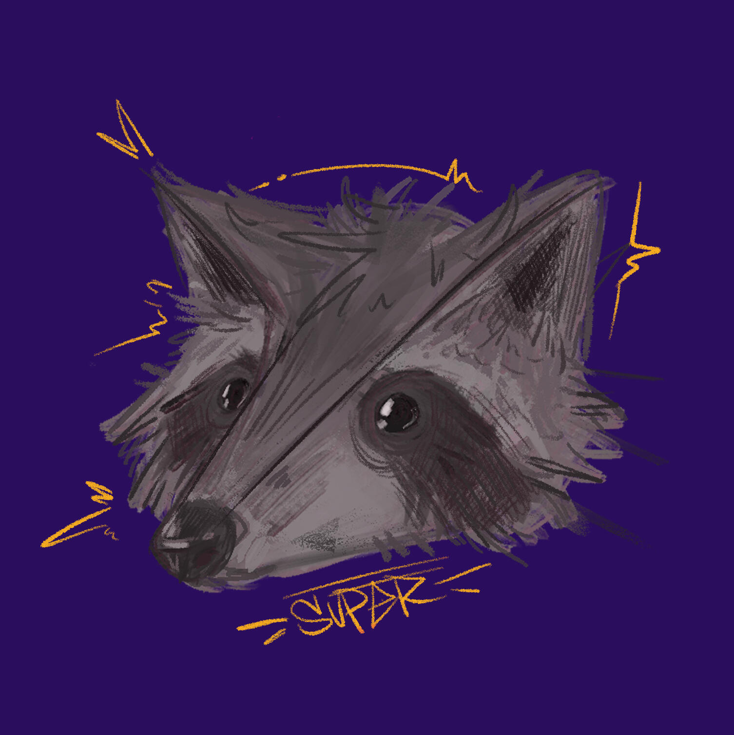 Super the Raccoon